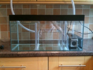 Testing the Sump / Refugium