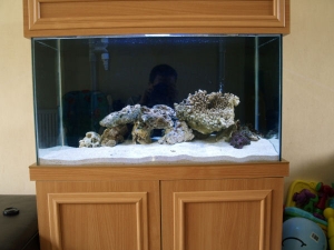 AquaScape 2, I know not much has changed but there was a lot of moving about to end up with more or less the same as I started with.