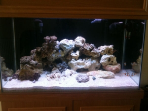 AquaScape 3... Now the tank has cycled using the liverock I have bought myself some DryRock to make up the total weight of filtration.