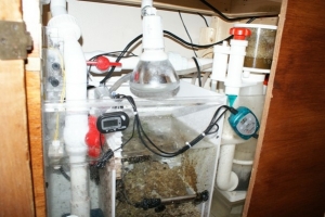 Orca Refugium, SWC 120 cone skimmer