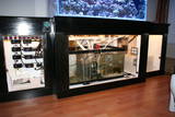 Left side Digital Aquatics RKE, middle sump/refug., right ATO container