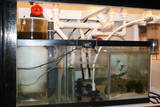 40 gallon sump/refugium, 1262 eheim return pump, SWC 200 extreme skimmer, BRS dual GFO/CARBON reactor