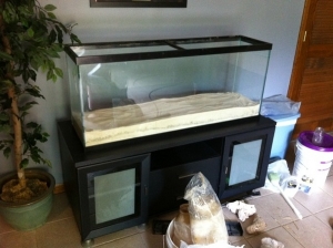 Just getting things up and running!