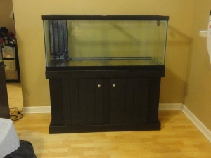 New Tank 9/19/2011