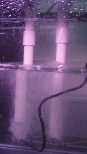 Sump Intake