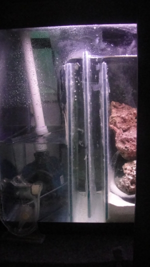 Sump Baffles