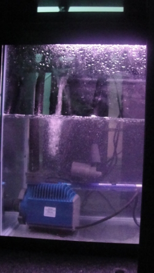 Sump Return