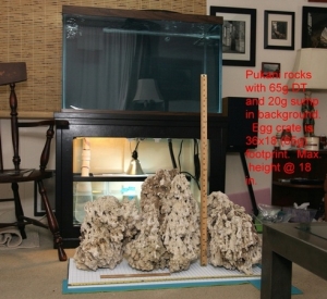 Three large pieces of Pukani direct from the shipping box to an egg crate!  65g DT and 20g DIY sump in the background (doors not yet installed on DIY stand).
