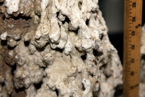 Close-up.