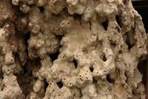 Close-up.