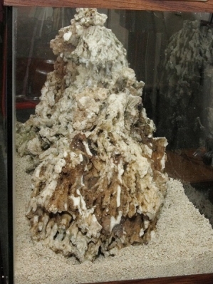 Right side of tank.