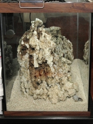 Looking into the left side of the tank.  That is one large rock!