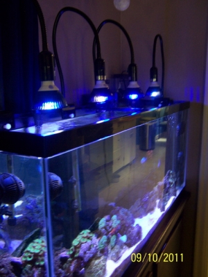 New Boost led lights