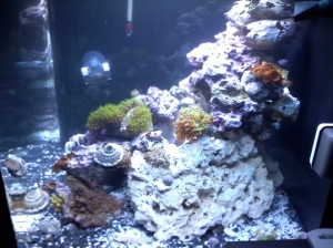 side veiw of the jbj nano cube led 28 gallon