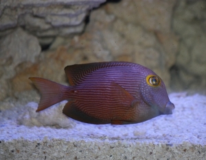 IMG 0907