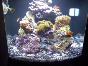 front..10/18/11