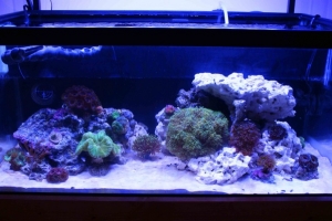 FTS