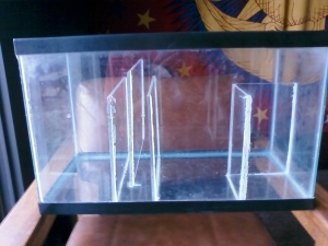 10gal sump sideview