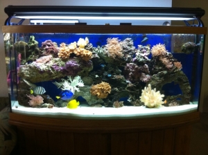photo(1)