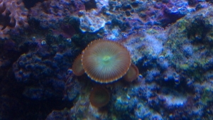 2012 02 09
