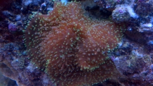 2012 02 09