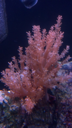 2012 02 09