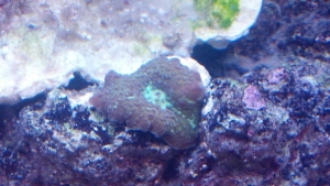 2012 02 09