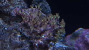 2012 02 09
