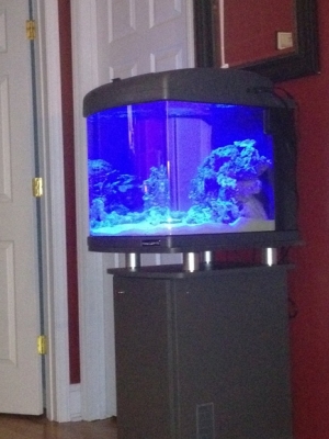 Nano Cube 002