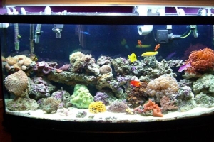 How the tank looked when we took it down.