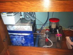 filtration