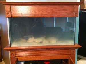 sand, water and 40lb of rock