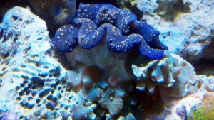 2012 03 06 22 30 48 250