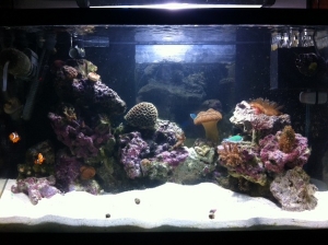 photo(5)