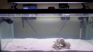 added water