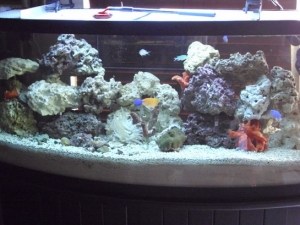 DT tank FTS @ 2 months