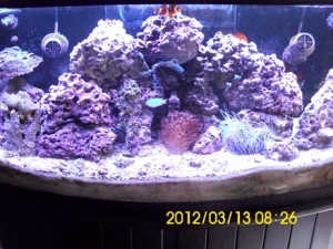 DT tank FTS @ 9 months