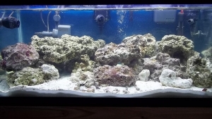 Done with the rock thing, let the waiting begin.
