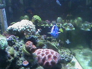 side view of tank