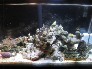 most recent FTS