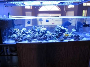 FTS