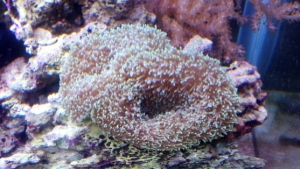 2012 04 27 16 51 37 196