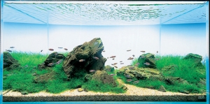 adatank18