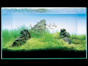gallery 22b