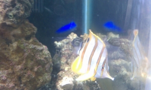 IMAG0375