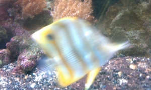 IMAG0374