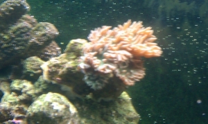 Looking sluggish