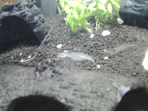 20120602 130516