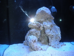 DSCN2272