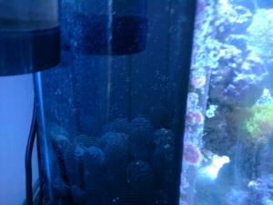 Photo 0274
